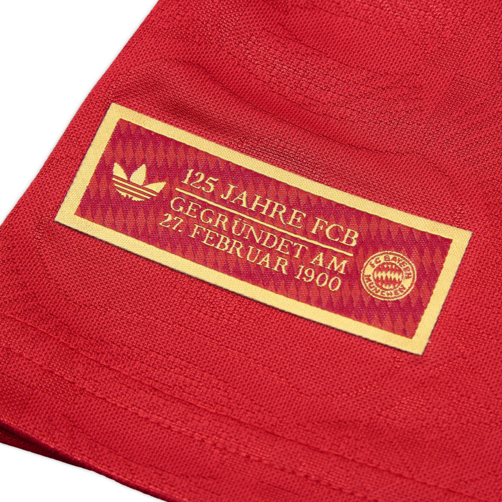 2024-25 FC Bayern München Special Edition Shirt