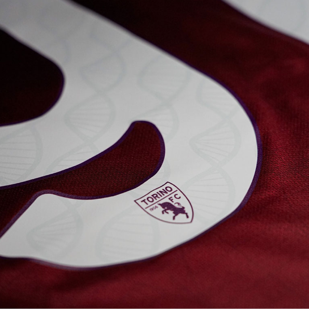 2024-25 Torino FC Home Shirt